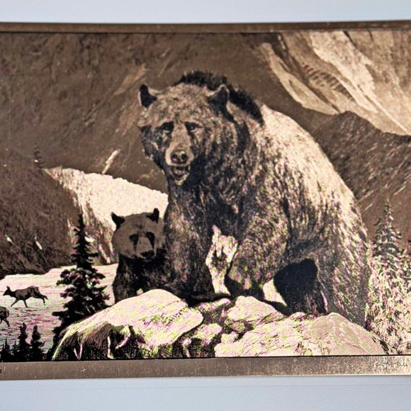 PRINTS, COPPER ETCHED, SET OF 4, BY R.H. PALENSKE, WILD ANIMALS, IN PRESENTATION - Picture 6 of 9